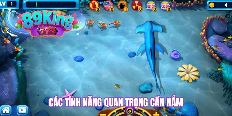 Các tính năng quan trọng cần nắm