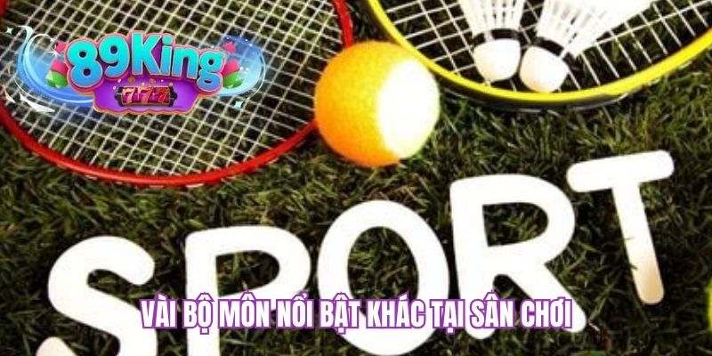 Vài bộ môn nổi bật khác tại sân chơi